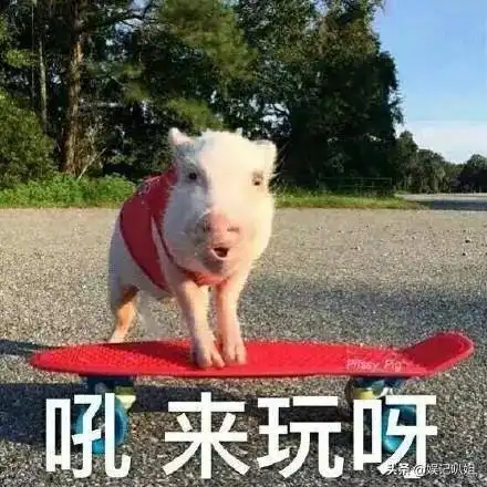 六漂亮哥系列之含着退圈的内幕