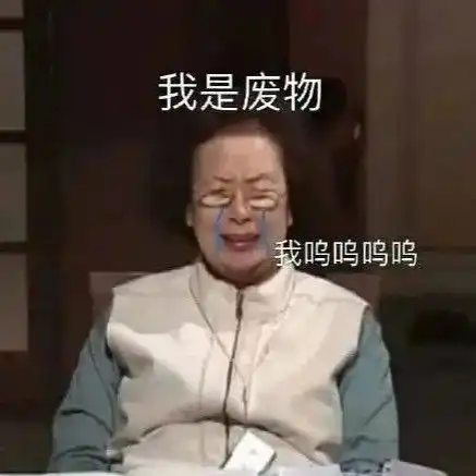 罗文姬女士表情包