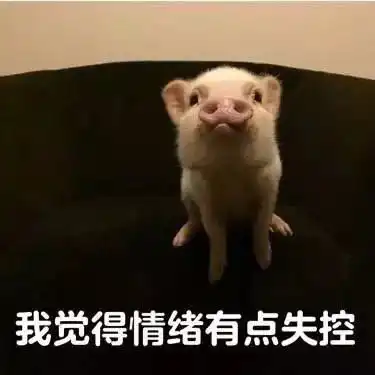 不买不行网红明星人手一根的遮瑕笔,一天照800遍镜子都不嫌多
