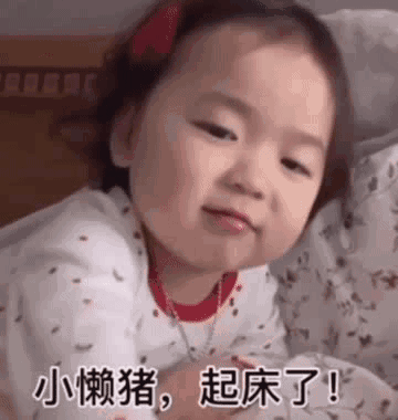 黄夏温套路表情包懒猪,起床了