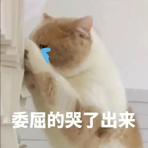 奇葩请假我这一生走过最长的路,是员工请假时的套路腾讯新闻