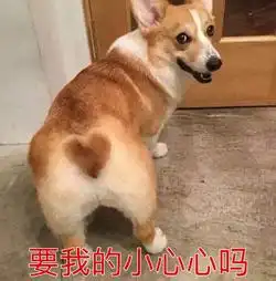 表情包你永远看不懂的我幽默,我不禁的发出了青铜般的笑声