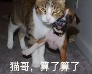 大哥算了算了搞笑表情包,你更喜欢用哪一个每一个都很有趣
