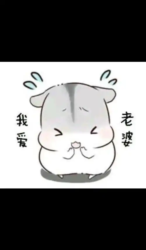 求小仓鼠hamham的表情包老公老婆,小娘子,夫君君系列的