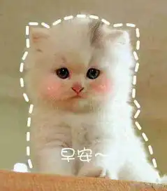 男头兄弟带猫微信头像图片大全