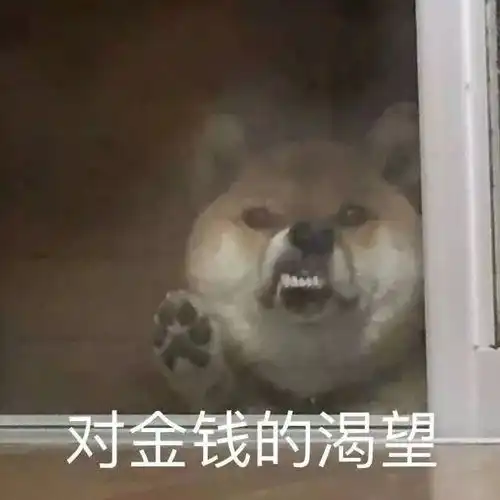 沙雕表情包对金钱的渴望