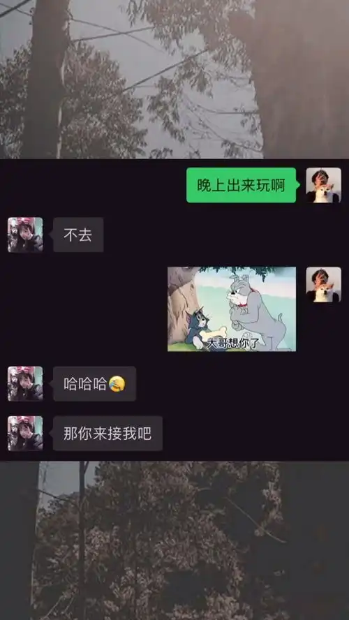 大哥说什么就是什么每日迷惑行为沙雕操作表情包小可爱已上线