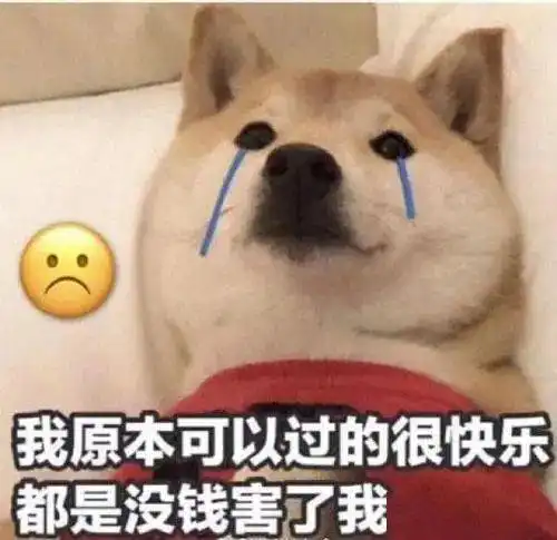 倩女其实是一个语言教学软件你信吗