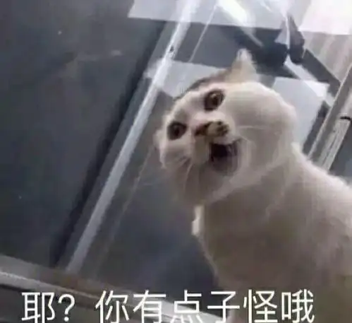 为了逃跑操和同学躲进同一间厕所被发现