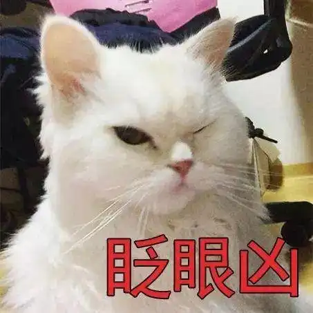 你要是敢养猫,我就给你扔出去吸猫真香