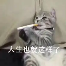 大家最爱的表情包又来啦