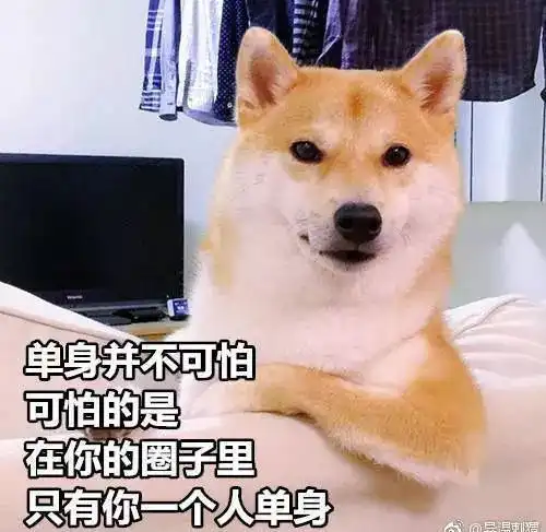 和你走过的每一段路,都是鹊桥