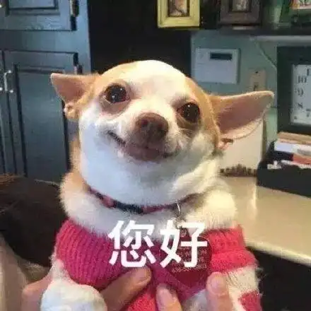 告别腼腆好好聊天一教你开口有话说愉快聊天不尴尬