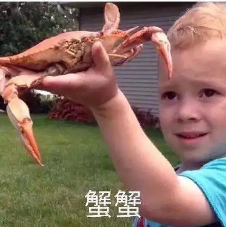 谢谢老板丨第311期喵表情包