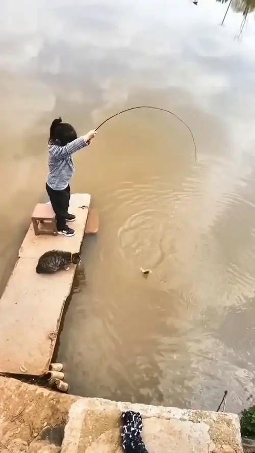 小可爱竟然做这样的事情,不要太有爱,猫咪的表情亮了