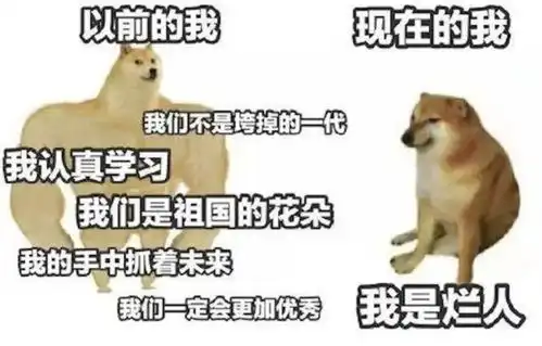 刷屏几亿人表情包的柴犬cheems,是如何火爆网络的