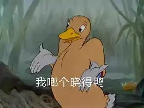 侃天侃地侃段子什么奇葩行为都难入我眼