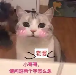 日常吸猫系列表情包,废猫扶不上墙