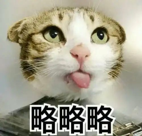 机务人,你到底够不够凡尔赛