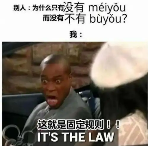 学中文到底有多难外国人用自制梗图完美诠释,看完不笑算我输