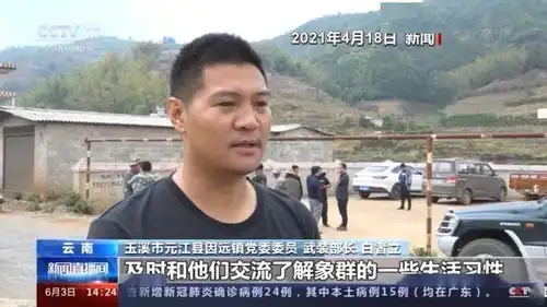 象群走出昆明密林且在田间踩踏为啥不用麻醉枪呢专家解释