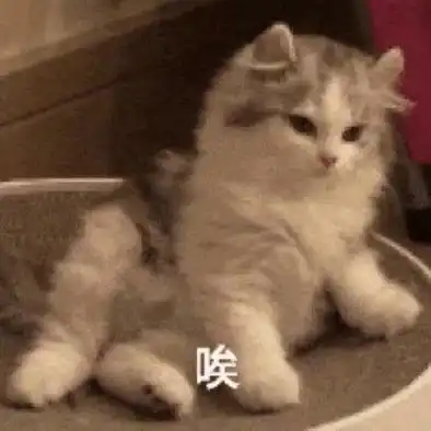 搞笑表情包拿图片还有这种事,按照我说的去做