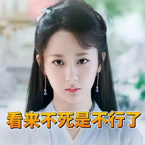 锦觅女士