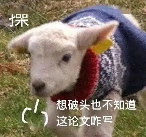肝论文专用表情包,今天也是为论文落泪的一天