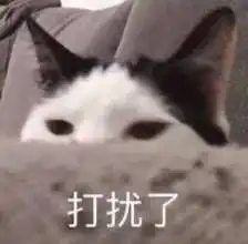 我的收藏夹
