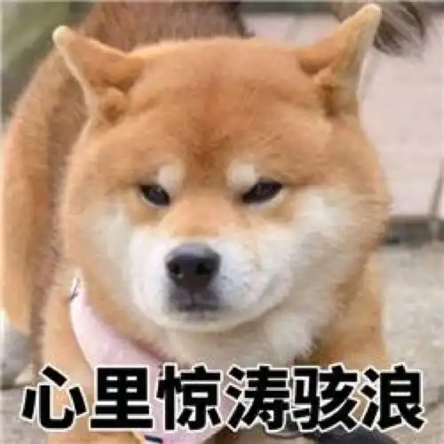 这么不持久还想约姑娘