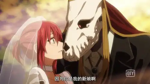 魔法使的新娘结局好么