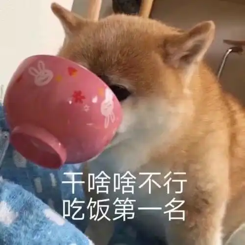 热门沙雕表情包第三期