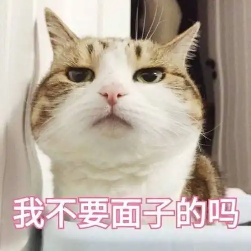 松绑,大湾区已有两城限购放闸,粤港澳楼市大利好