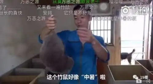 吃竹鼠的华农兄弟火了网友我不漂亮别吃我