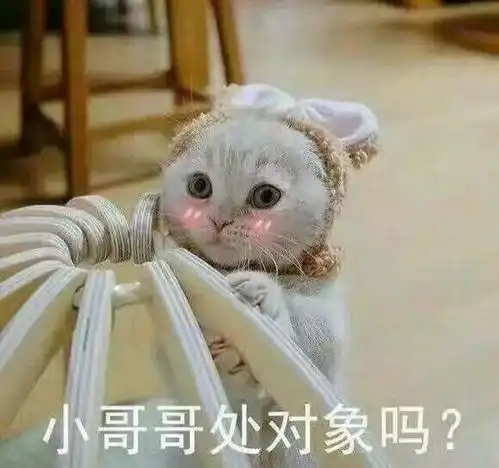 要想春节过得好,求生指南少不了