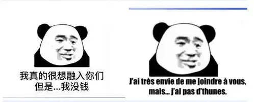 聊天尬住不如回复一个法语表情包