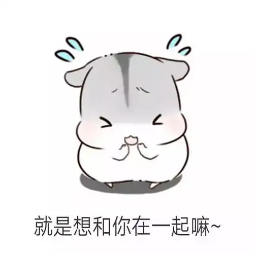 仓鼠套路表情包男朋友生气了该怎么哄