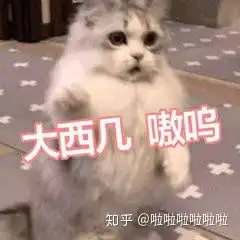 大学里,努力学习的成绩却没有作弊同学的高,对这些以后根本用不到却影响学分绩点和奖学金的科目,该怎么办