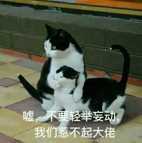 自创背单词法的学霸明星,高考英语44分,哥哥勇敢飞九漏鱼永相随