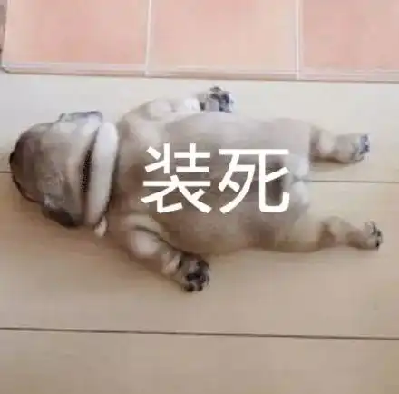 潮图表情包我一只狗的时候孤独啊,好想出去玩