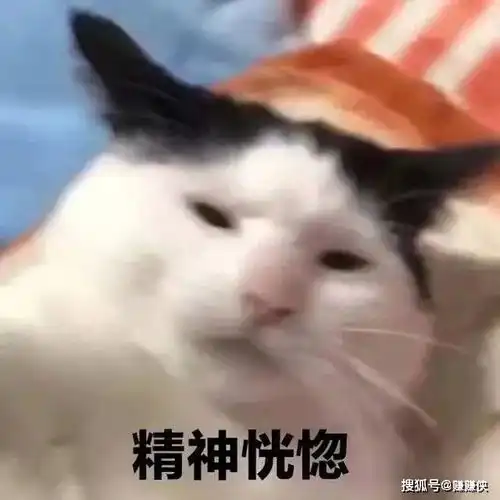 搞笑表情包图片你害怕的时候会这样吗