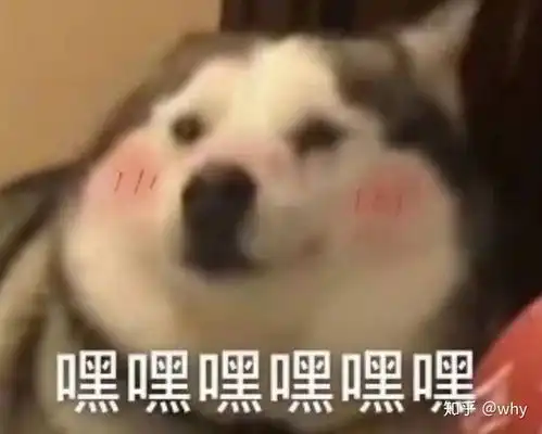 怎么样才能引起男生的注意呢