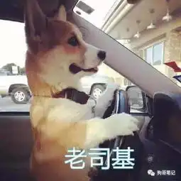 搜狐公众平台你熟悉的柯基犬改名了,读起来没毛病但就是想笑