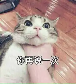 100分满分,每个多少分