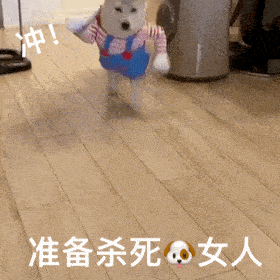 沙雕狗表情包