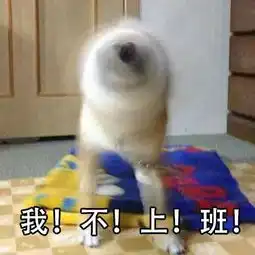 柴犬表情包带字