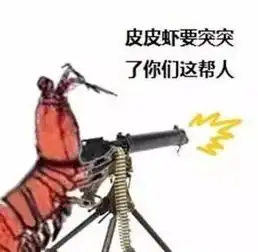 老司机请注意你可以骑皮皮虾,但是你不能......