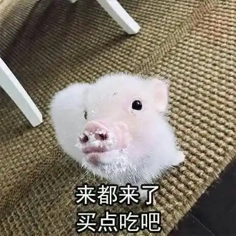 猪猪表情包能吃是福,吃饱了才有力气减肥