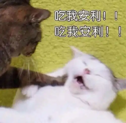 办会员卡到底划不划算,这笔账光数学好还真算不清