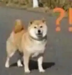 问号表情包丨合集
